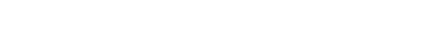 Ely Ezer Furini Miguel